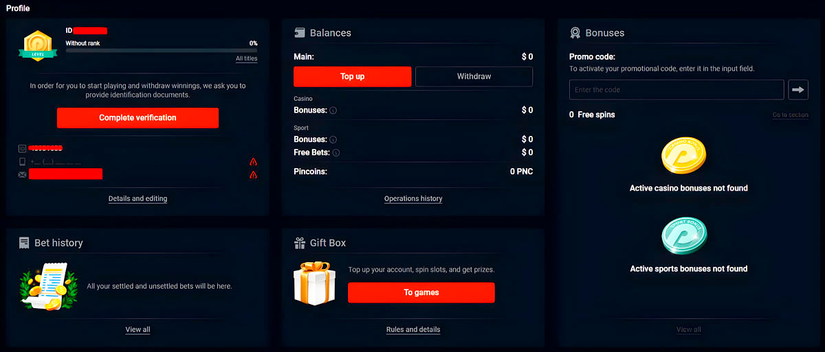 Личный кабинет Pin Up Casino
